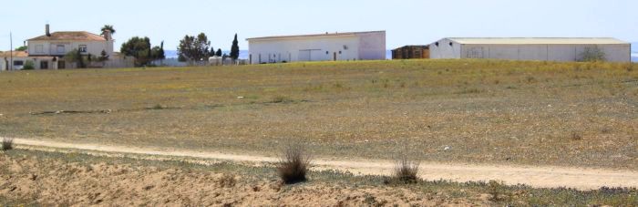 Spanische Landschaft